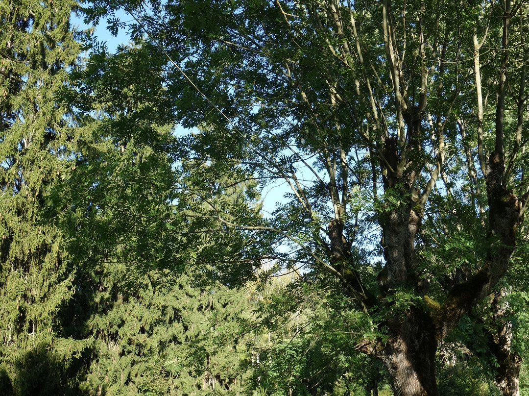 Kurpark Bad Gleichenberg-泉格莱兴山必去景点