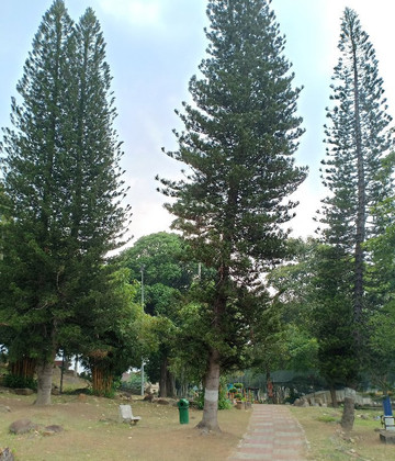 Rock Garden-Kampung Gubah必去景点