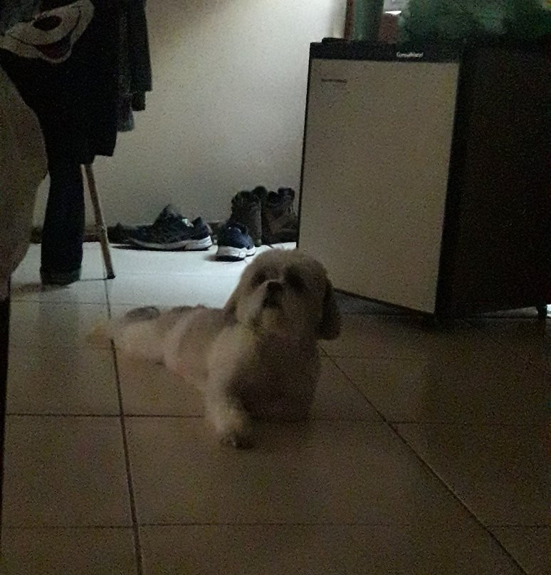 Hotel Dominguez Master - Mirador主图