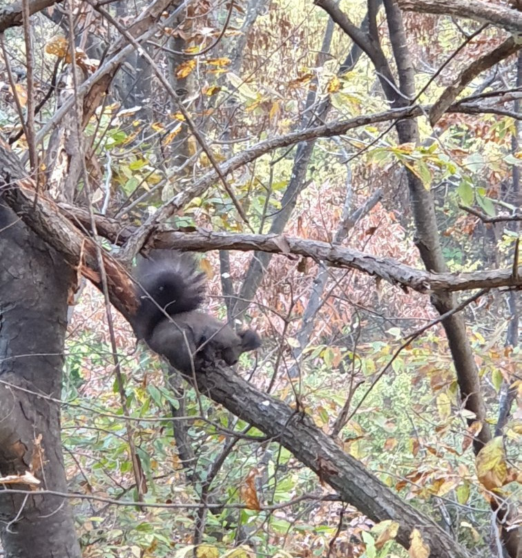 本昵客雅Premier清风湖酒店主图