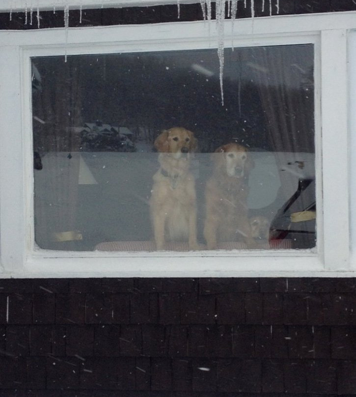 Mountain Top Resort主图