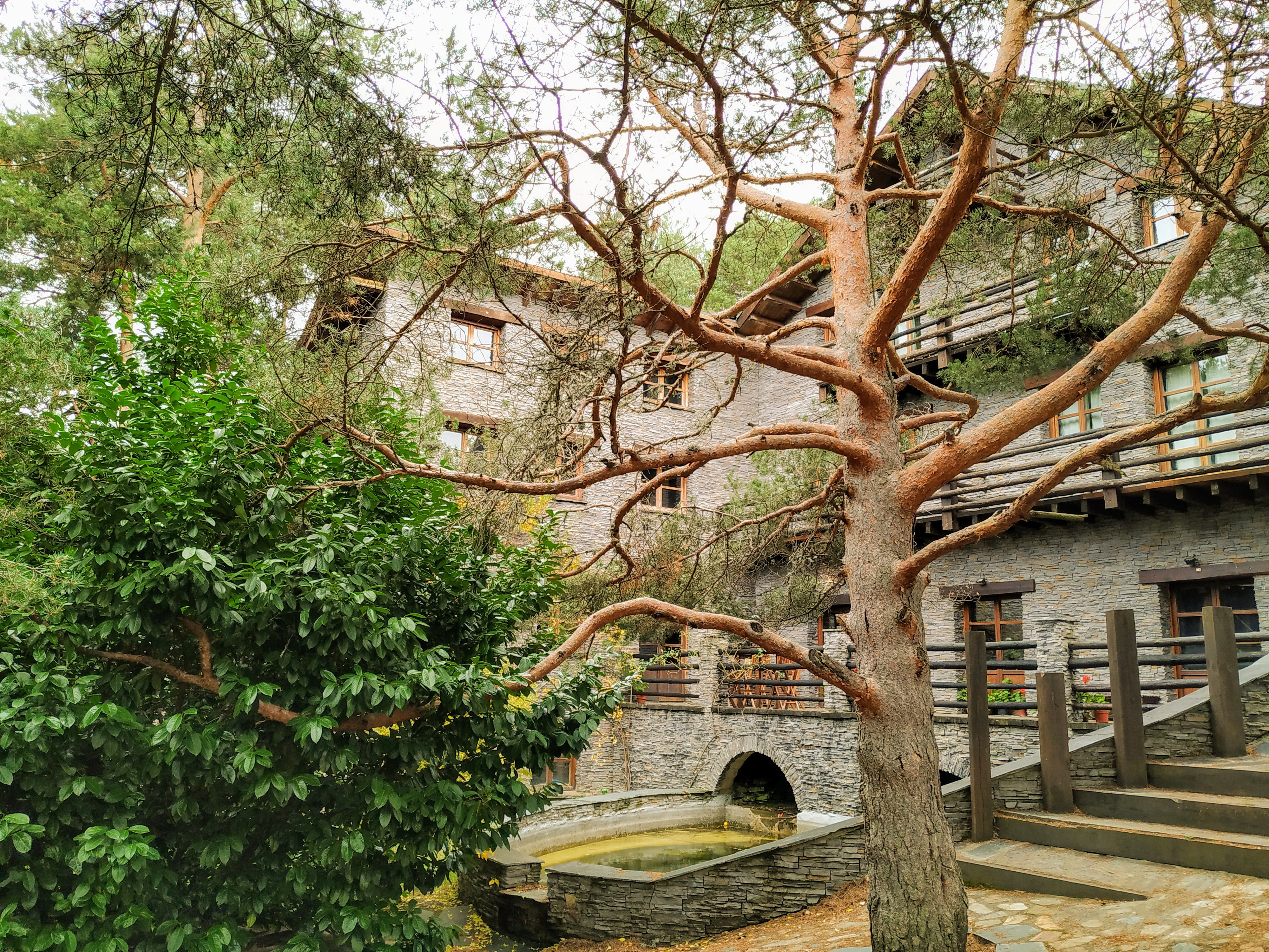 El Refugio del Alto Rey-官方