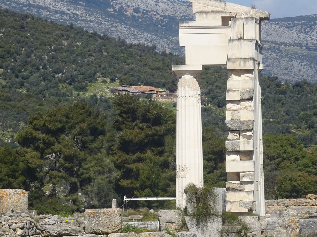 Sanctuary of Asklepios景点图片