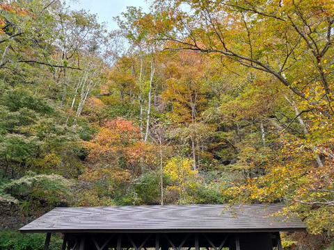 Mitoo Waterfalls-桧原村必去景点