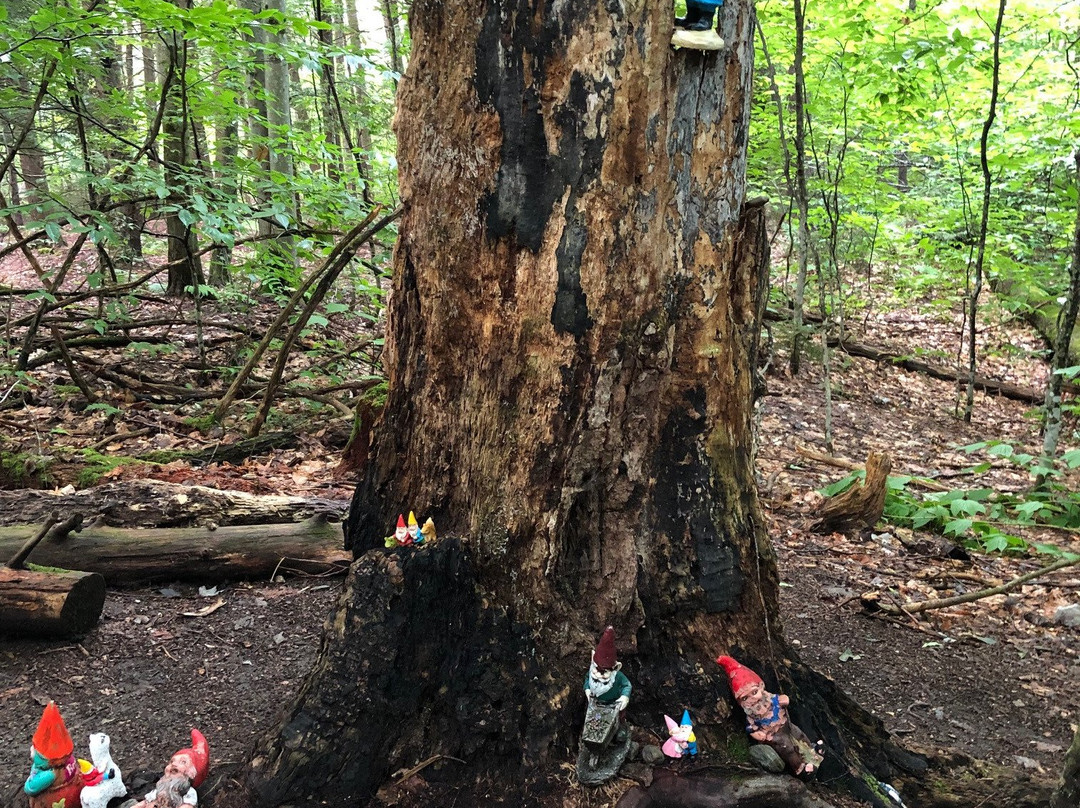 Wiessner Woods-斯托必去景点