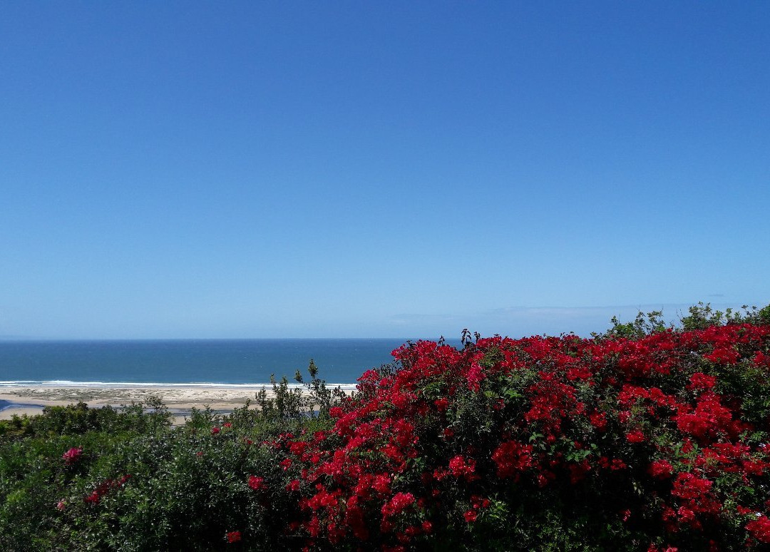 拉维斯塔住宿加早餐旅馆主图