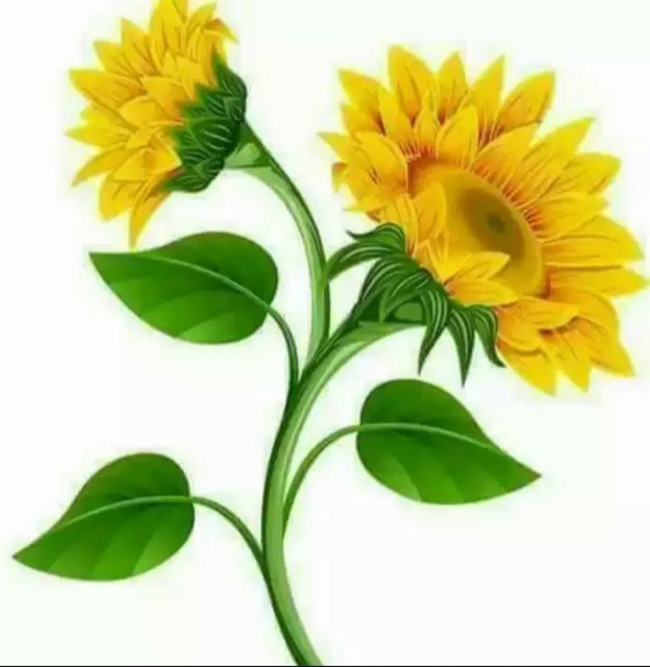 Wander Nagaland-Kohima必去景点