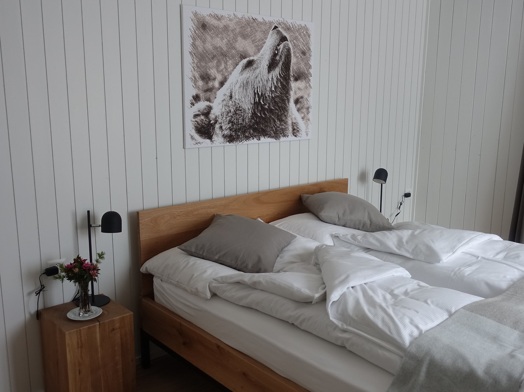 Hotel Baren Guttannen主图