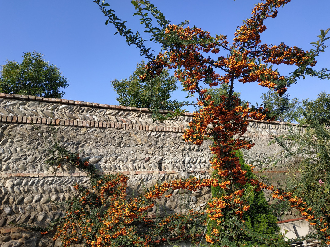 Hotel Gino Wellness Mtskheta主图