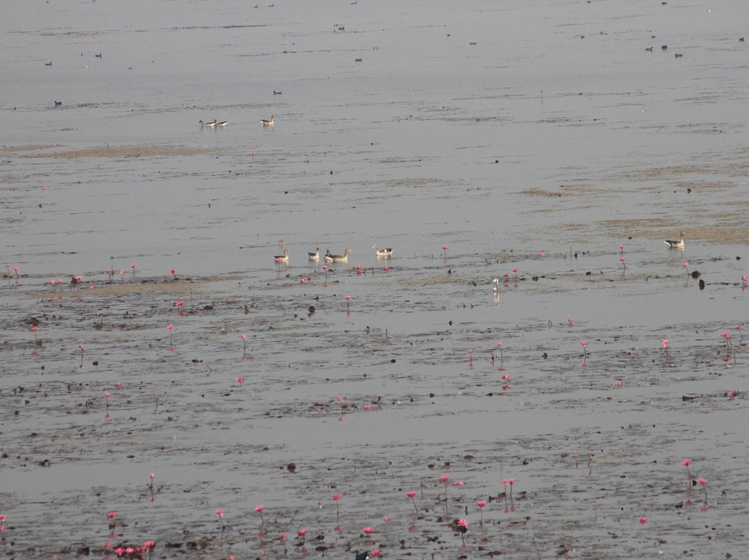 Pariej Lake-Pariyej必去景点