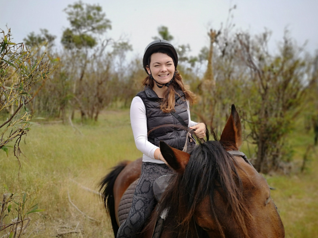 Horse Rides at Pete's-斯泰伦博斯必去景点