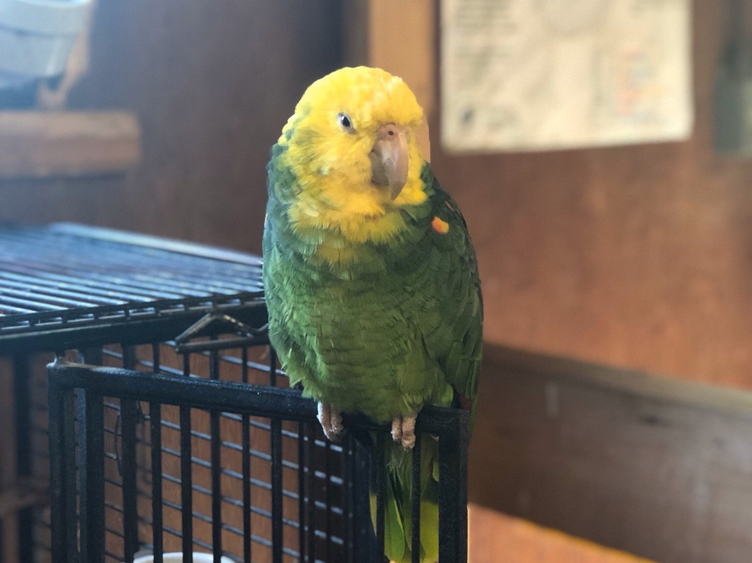 Far Enough Farm-多伦多必去景点