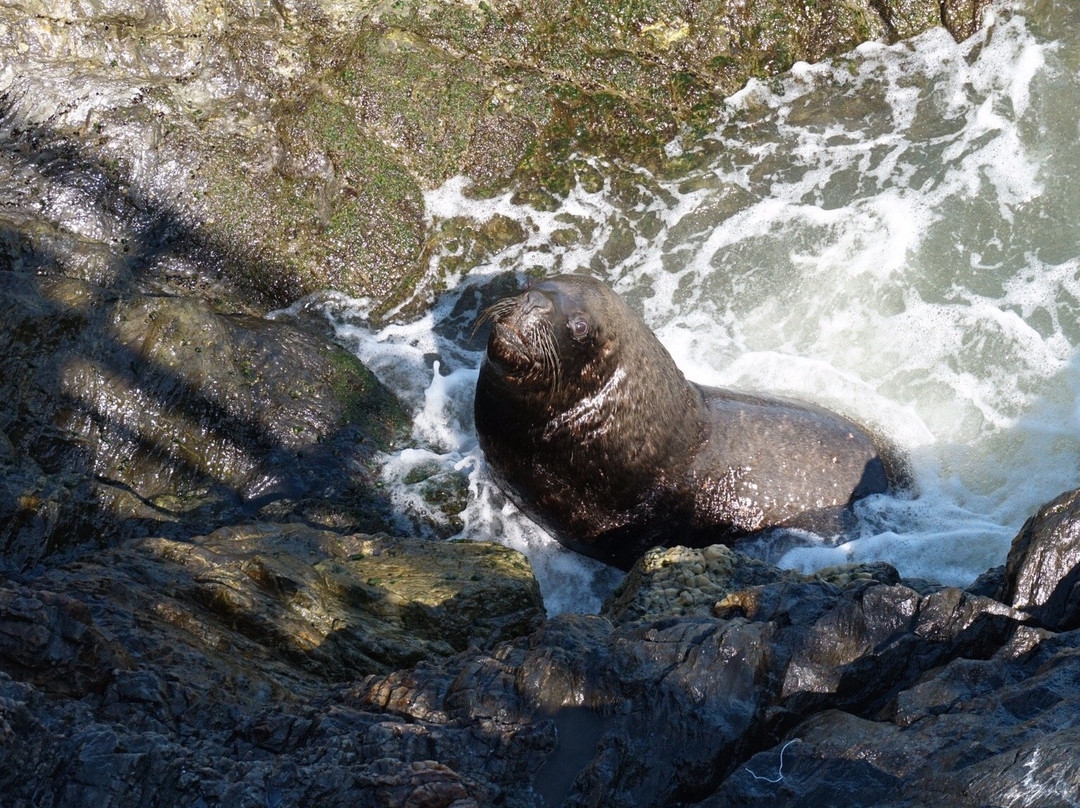 Sugar Bread Hostel主图