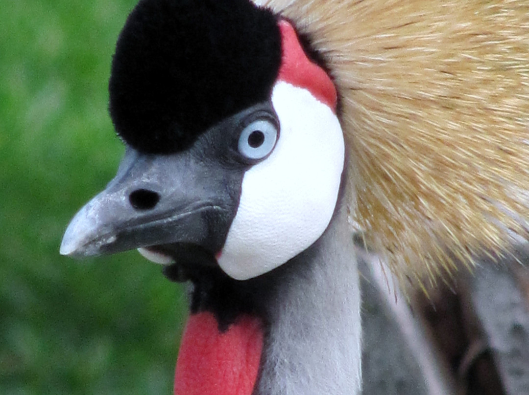 Al Areen Wildlife Sanctuary