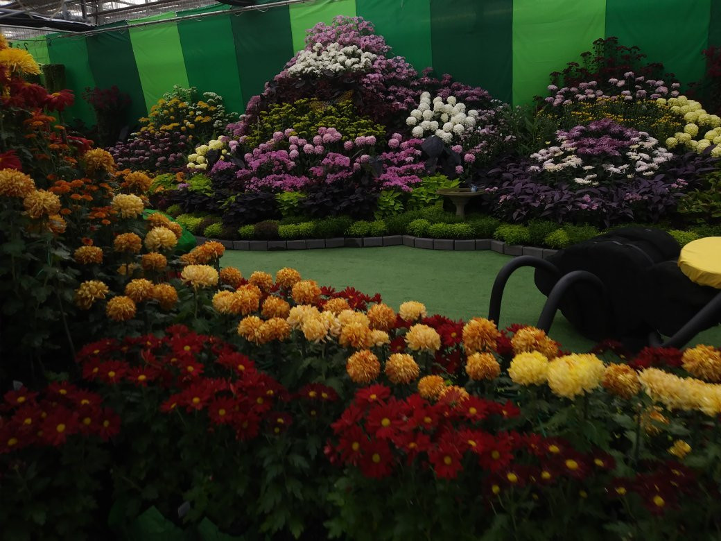 Gage Park-汉密尔顿必去景点