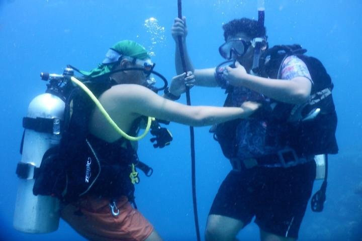 Orca Divers SA-吉达必去景点