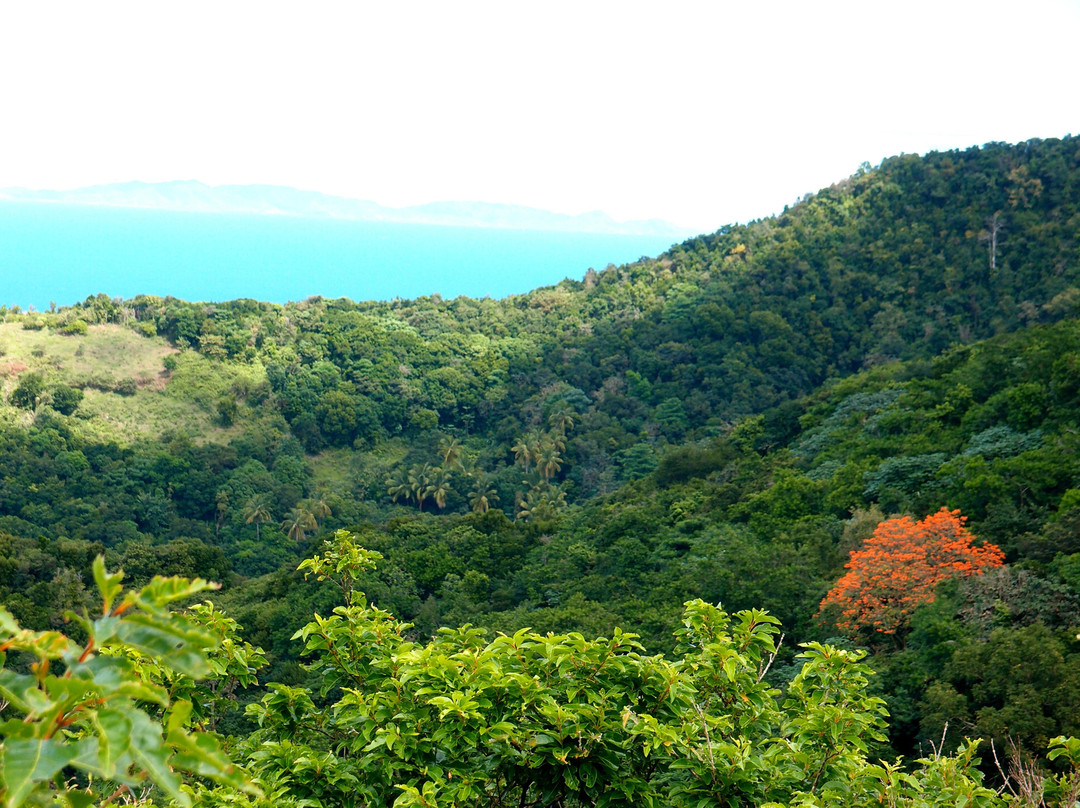 Oriole Walkway Trail