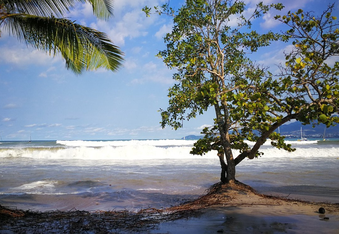 Antilles Excursions