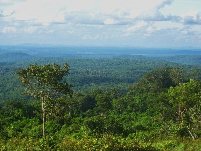 Kirirom National Park景点图片