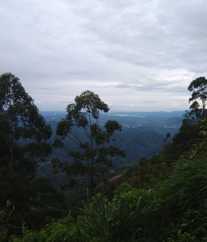 White Monkey - Dias Rest主图