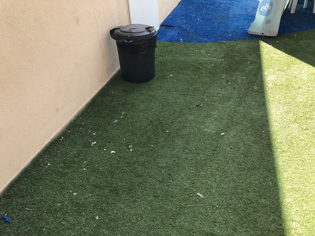 Lunada Children's Museum-贝尔谢巴必去景点