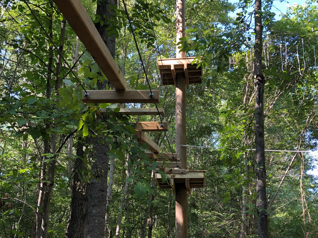 Canopy Adventure Park景点图片