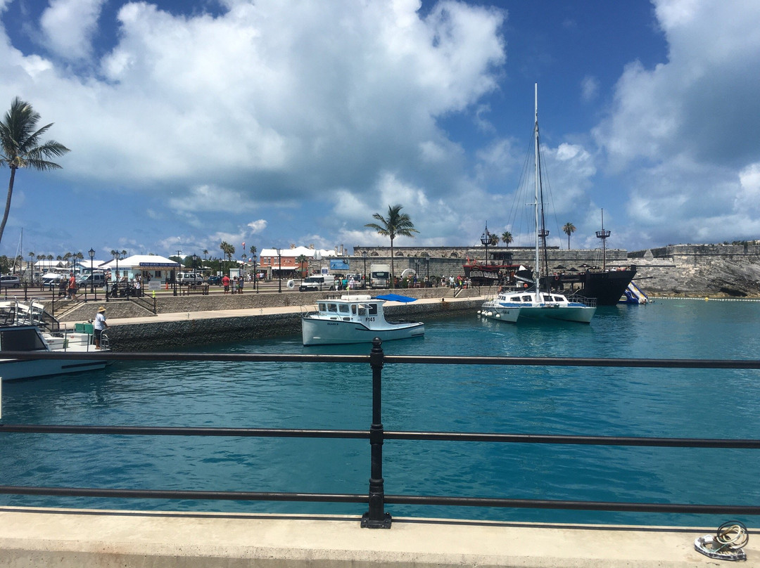 Bermuda Reef Fishing-百慕大必去景点