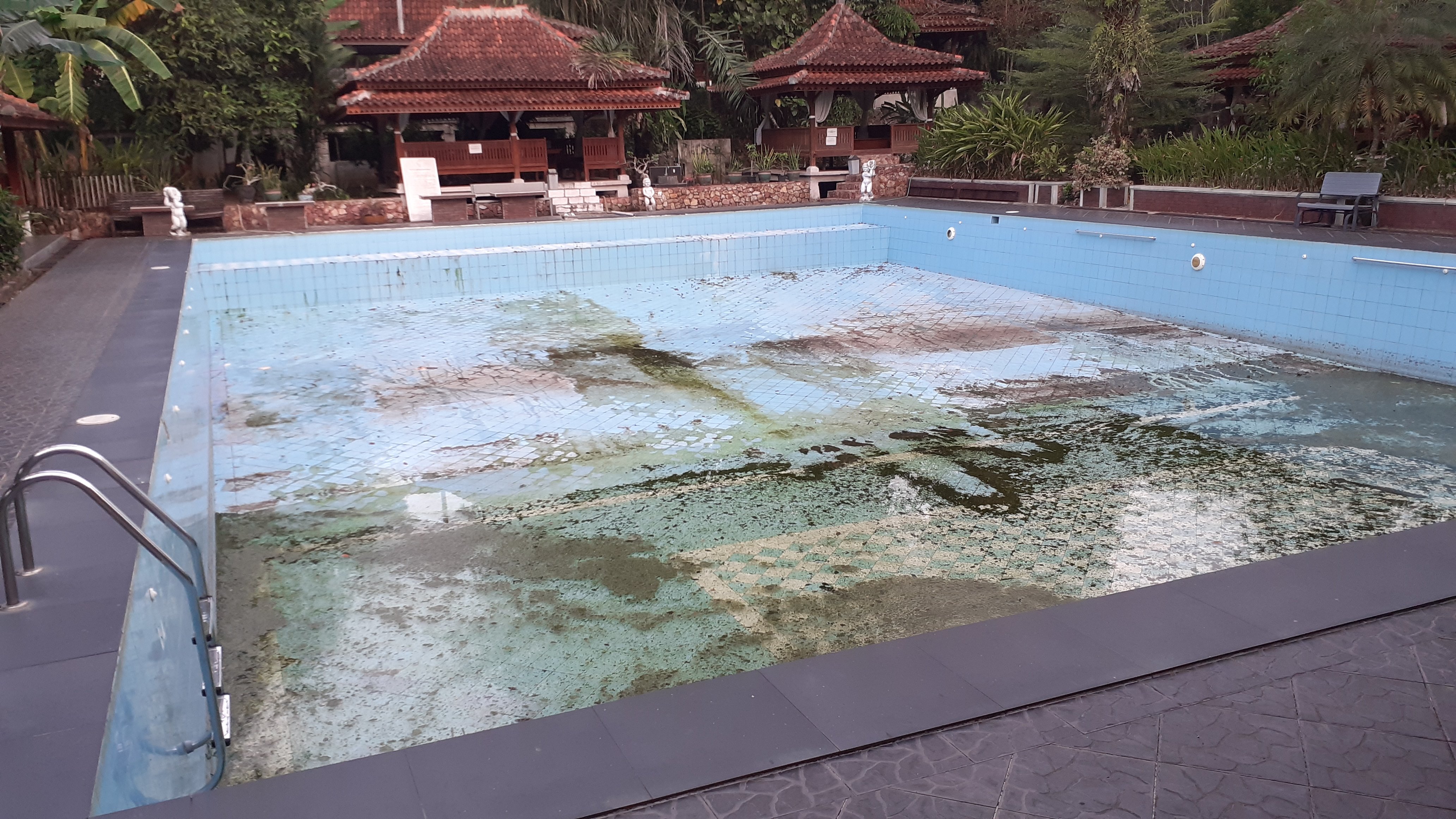 Green Tropical Village-泳池
