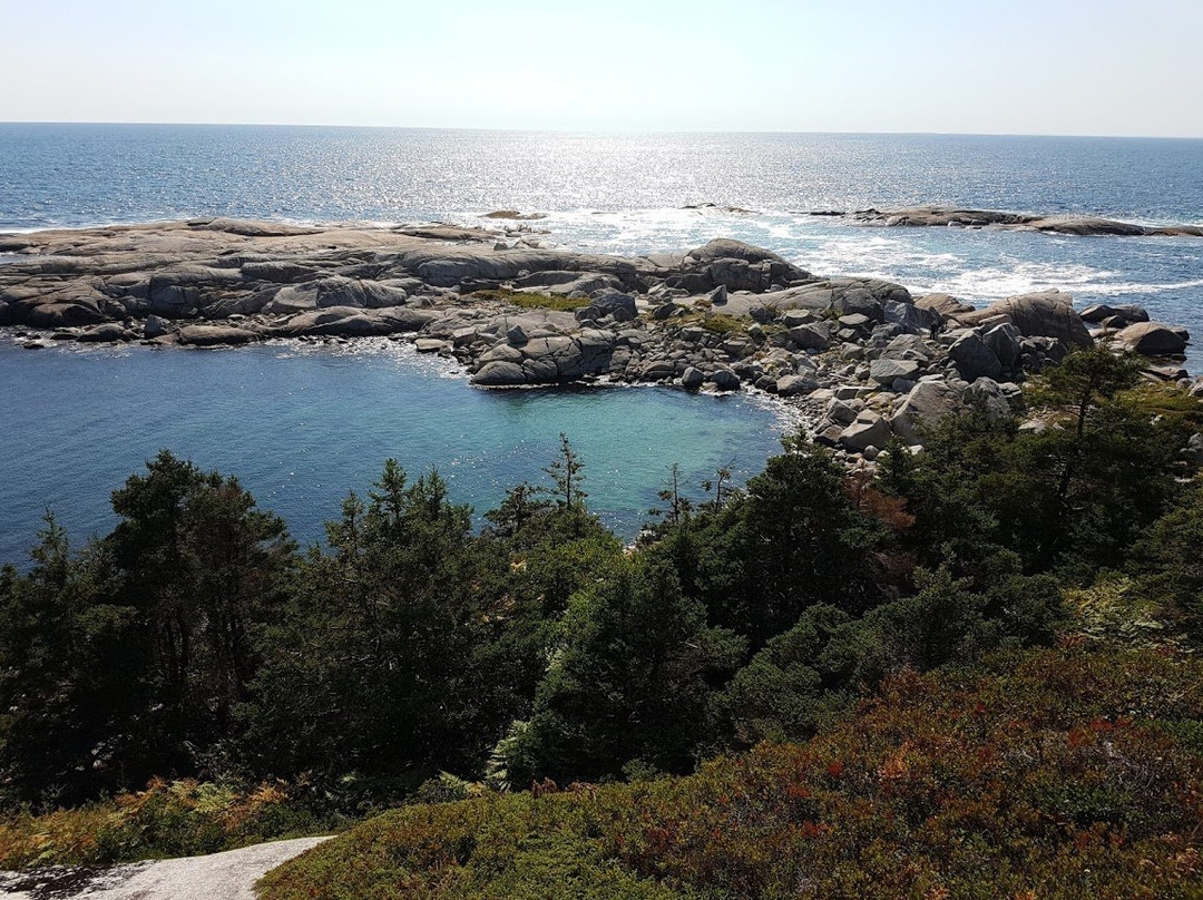 Polly's Cove Hiking Trail景点图片