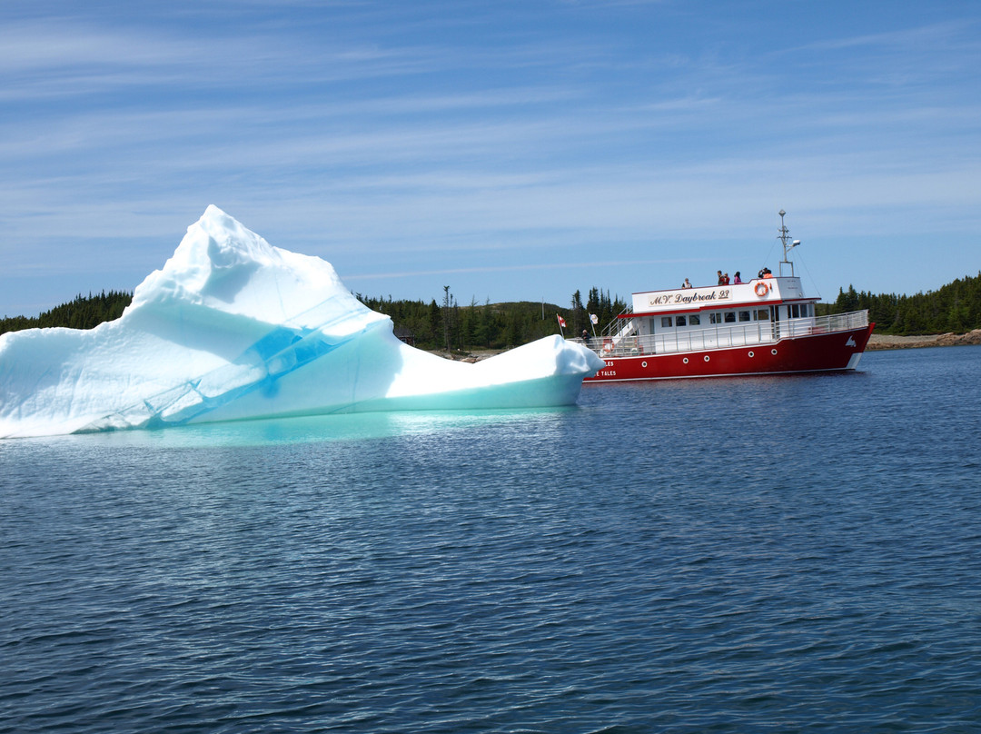 Twillingate Adventure Tours景点图片