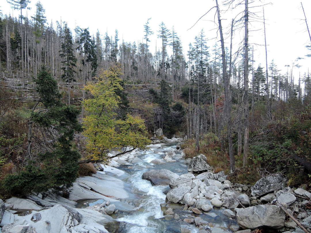 Cold Water Waterfall-Stary Smokovec必去景点