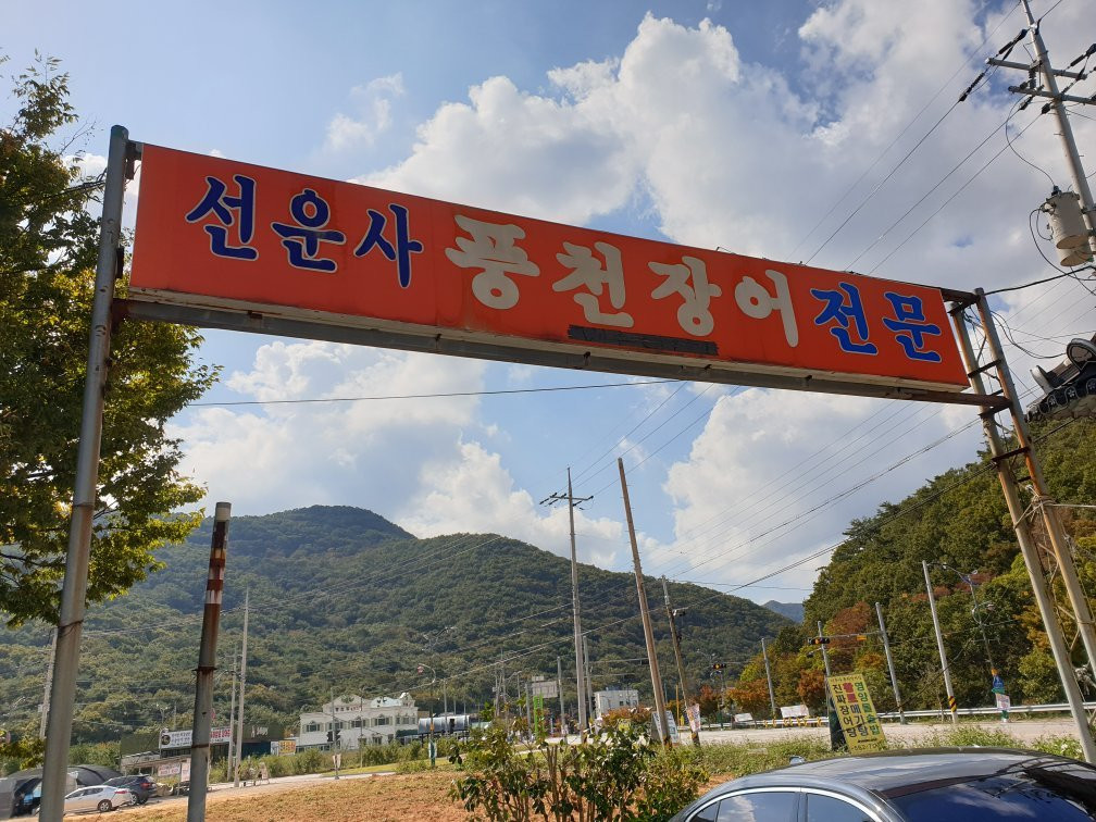 선운사풍천장어집