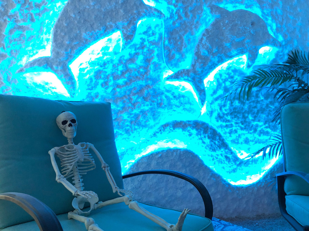 Salted Peace-Spring Hill必去景点