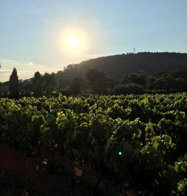 Domaine De Canta Rainette-La Motte必去景点