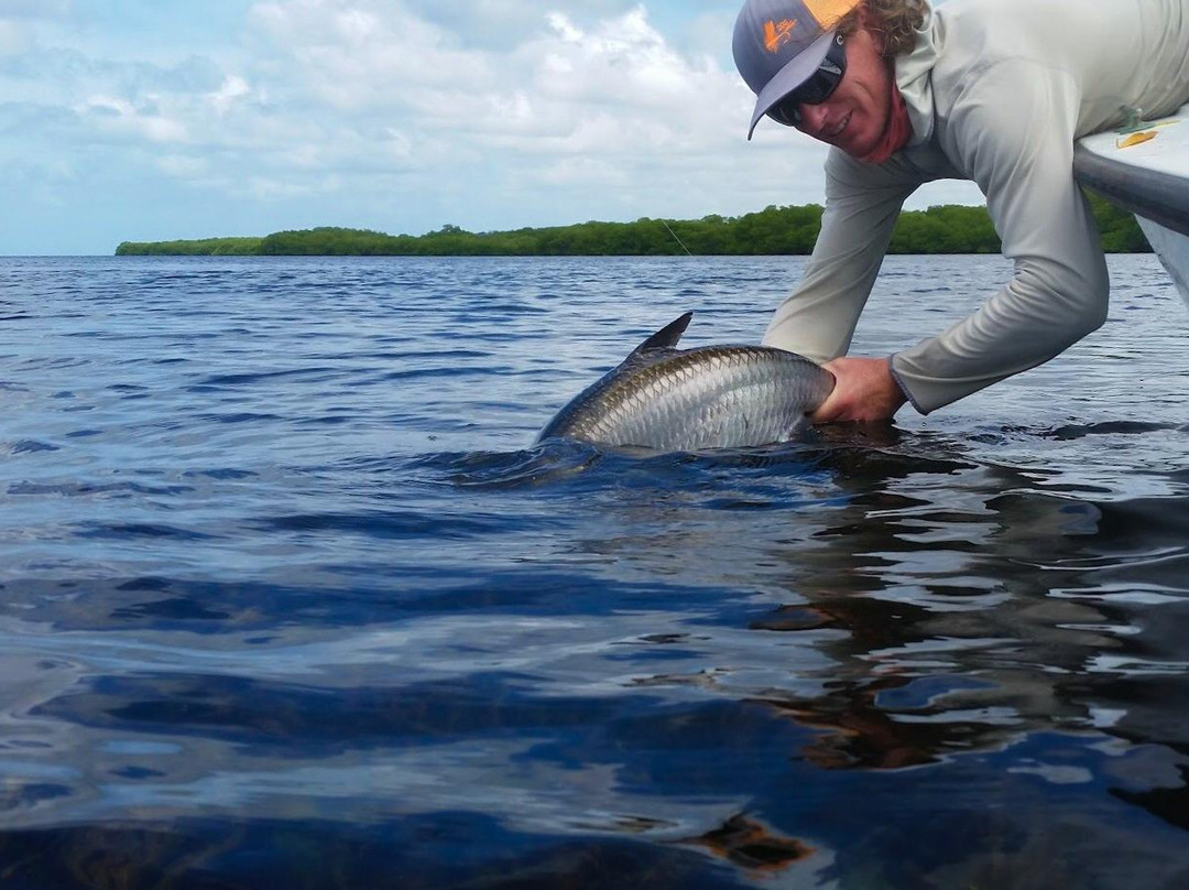 Campeche Tarpon景点图片