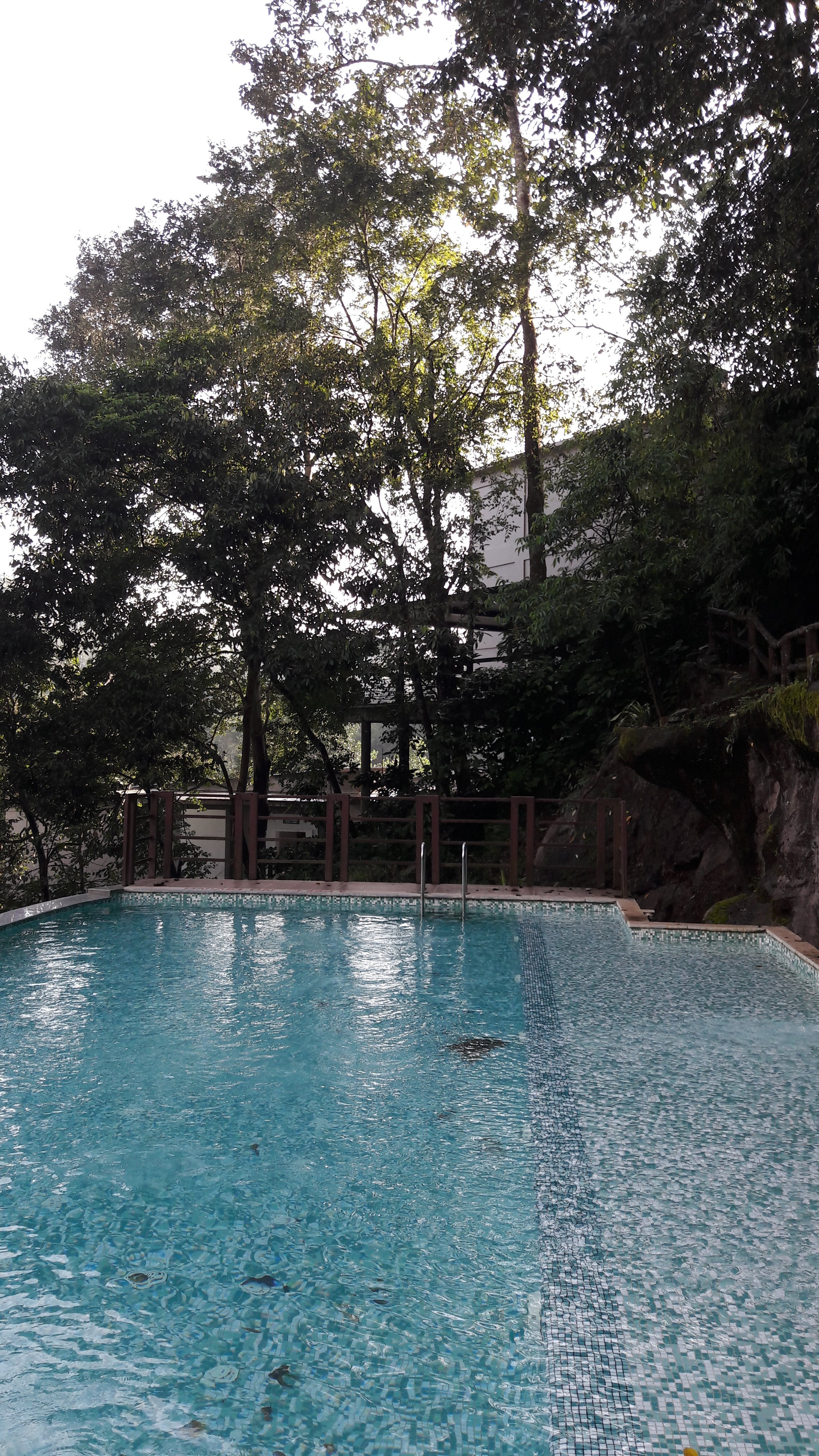 Vythiri Village Resort-泳池