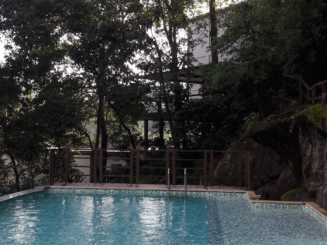 Vythiri Village Resort主图