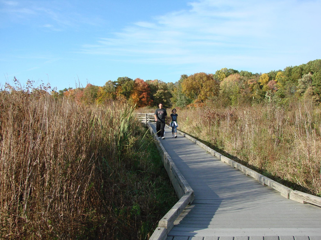 Mill Creek Park景点图片