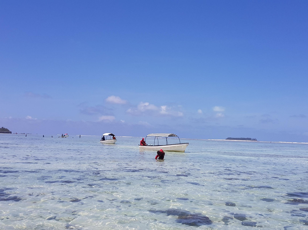 Zanzibar Bella Vista Tours-桑给巴尔岛必去景点