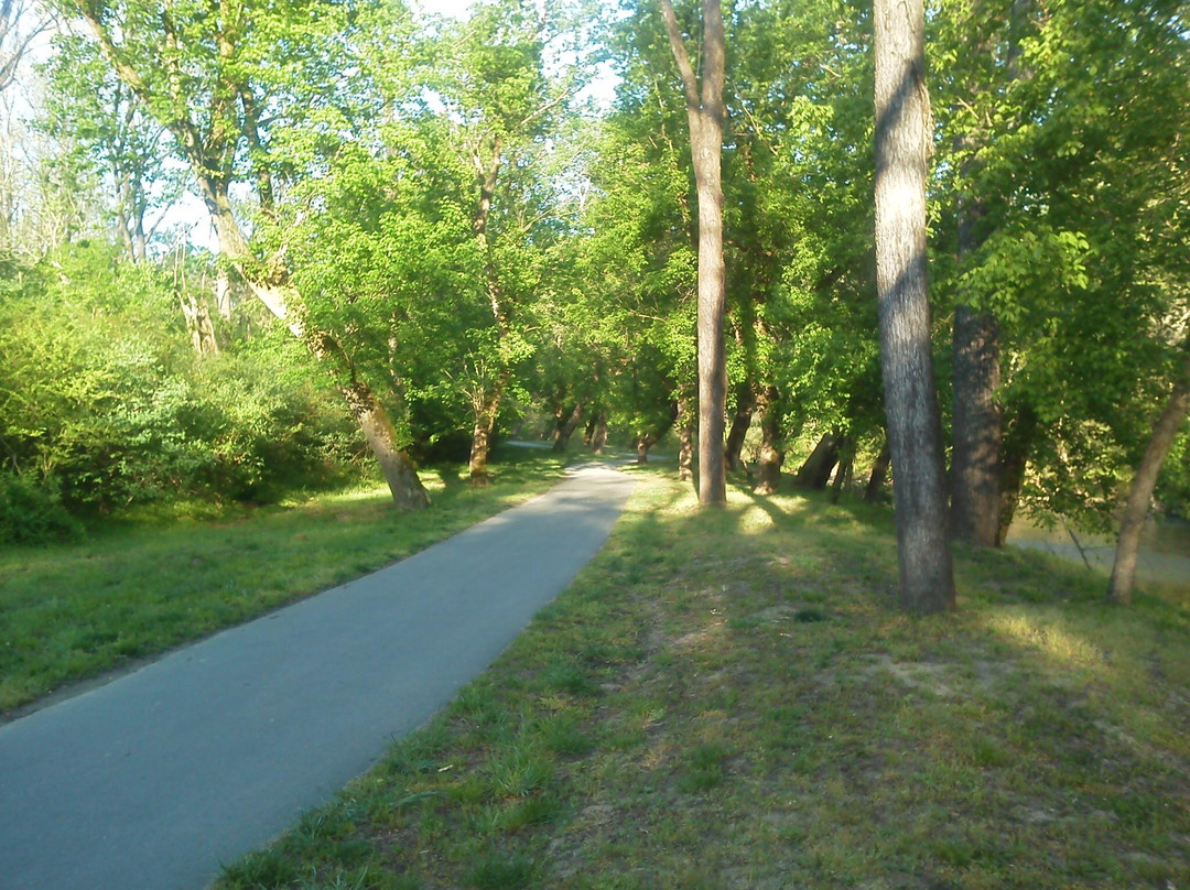 Greenway Bike Trail景点图片