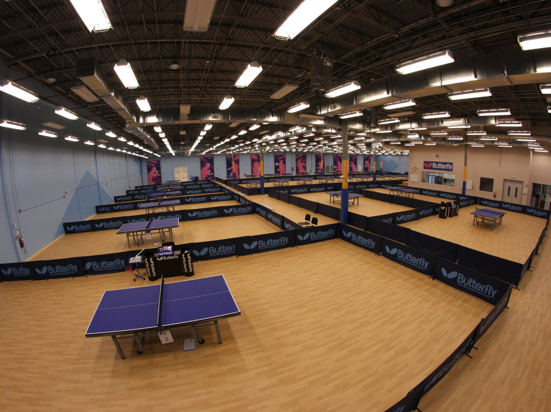 Triangle Table Tennis景点图片