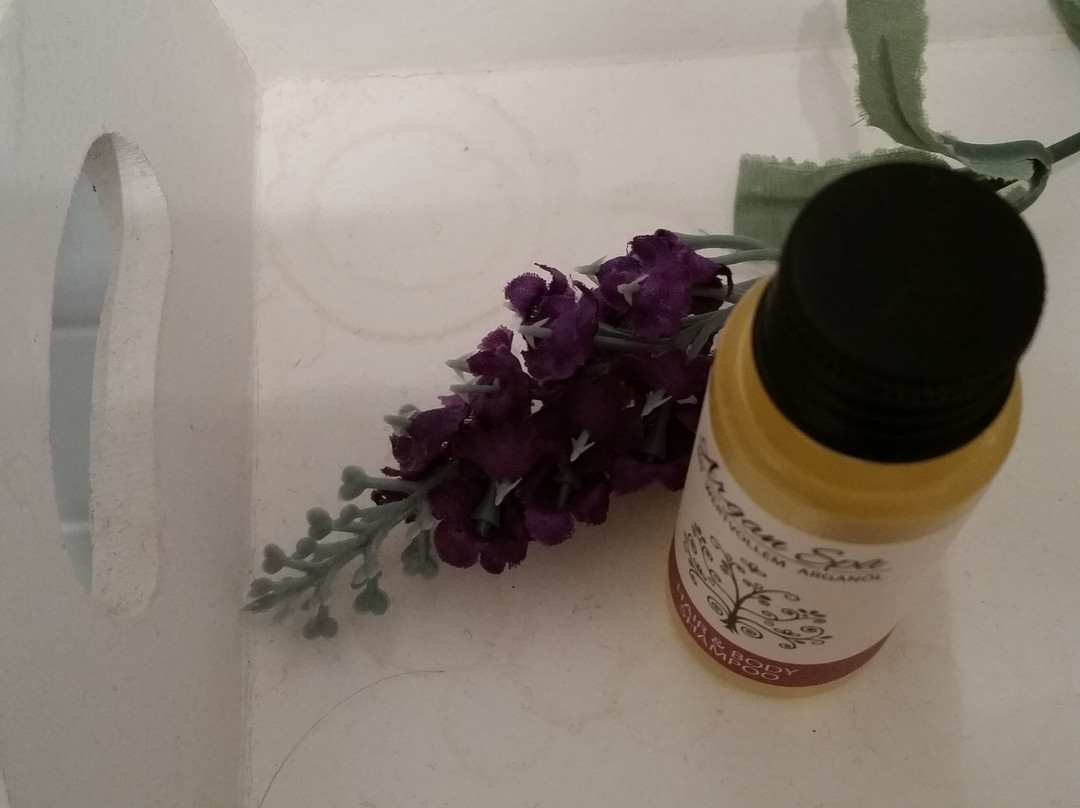 Lindenhof Warnsdorf主图