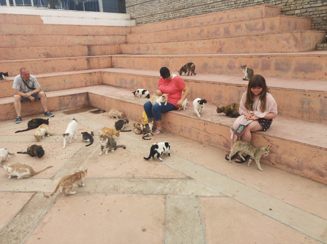 Agadir Birds Valley-Toundoute必去景点