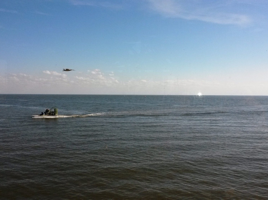 Waccasassa Bay Preserve State Park景点图片