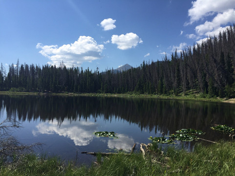 Lily Pad Lake-银座必去景点