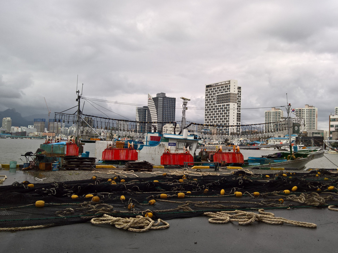 Dongmyeong Port-束草市必去景点