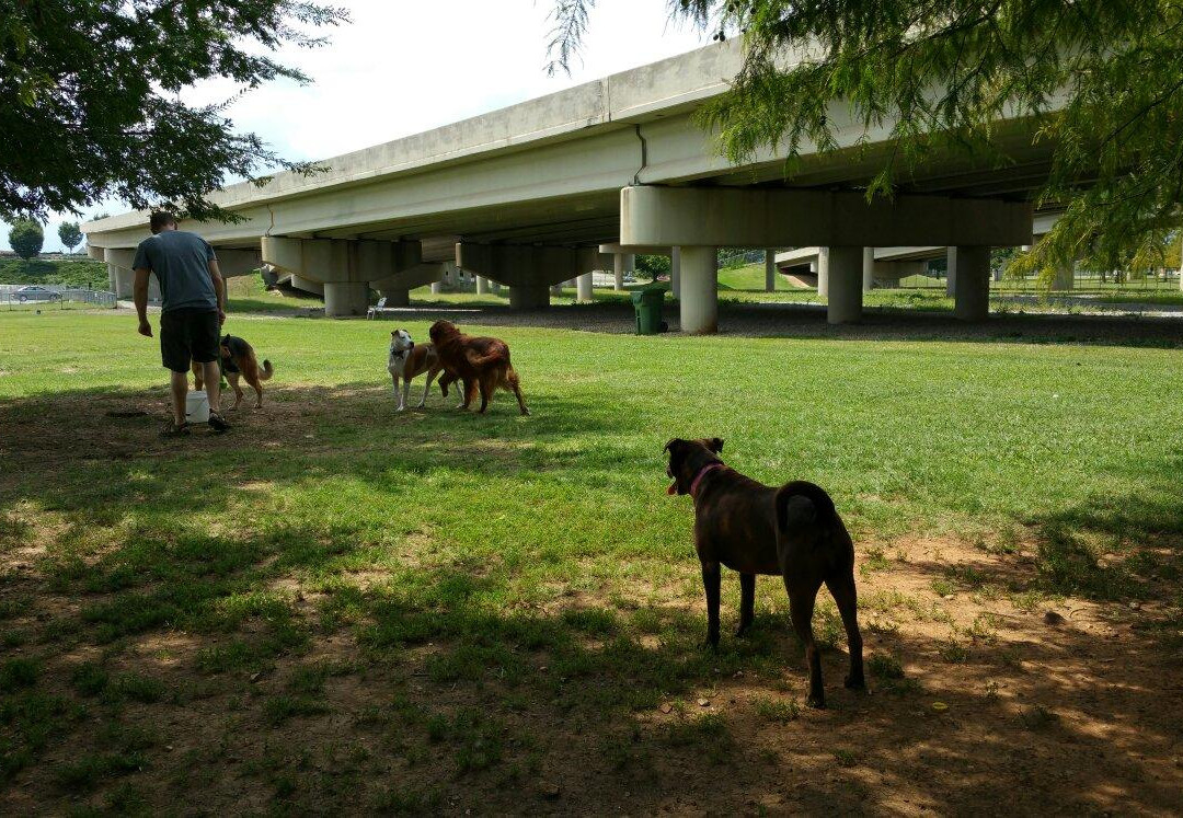 Meridianville旅游景点-Dog Spot dog park
