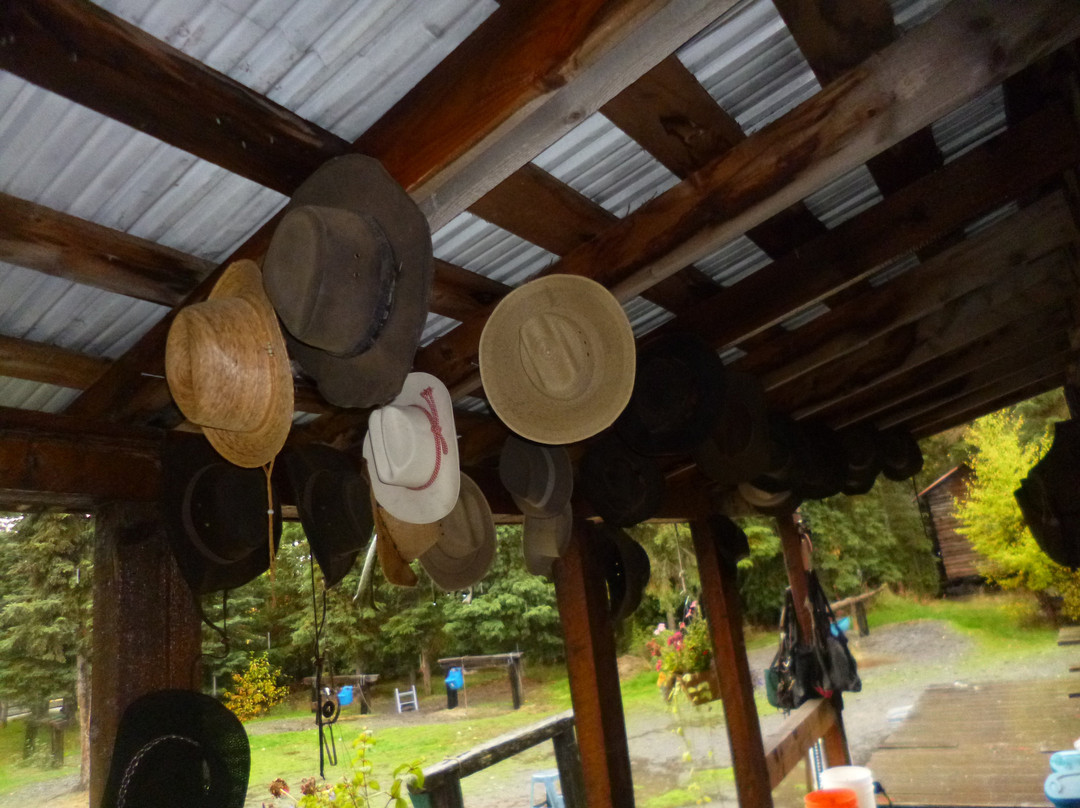 Alaska Horsemen Trail Adventures-Cooper Landing必去景点