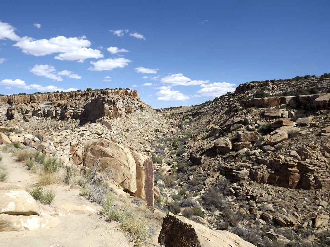 Castle Dale旅游景点-San Rafael Swell