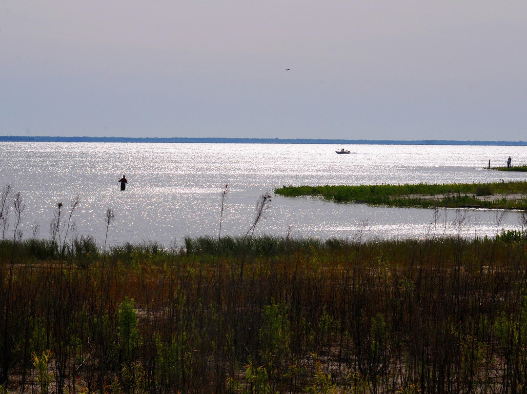 Lake Tawakoni State Park-Wills Point必去景点